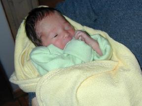 aiden01.JPG (10542 bytes)