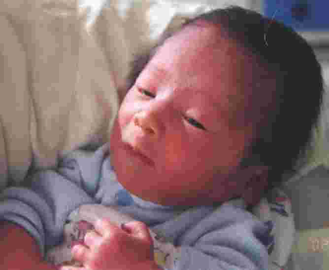 aiden300dpi.jpg (9486 bytes)
